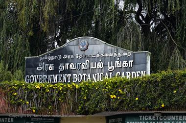 Botanical Garden, Ooty_DSC5617_H600